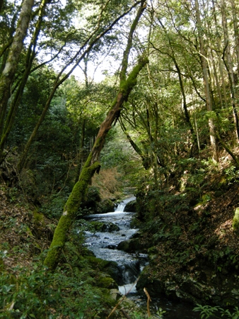 2010031716.jpg