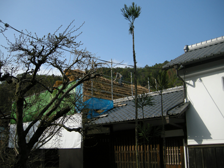2010031724.jpg