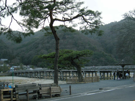 2010031726.jpg