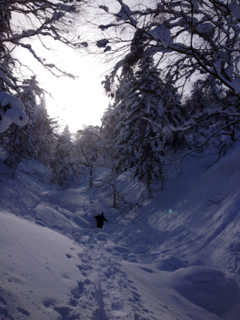 image-20130224195235.png