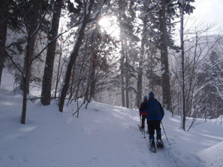 image-20130224202823.png