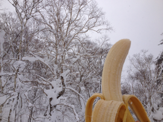 image-20130224203425.png